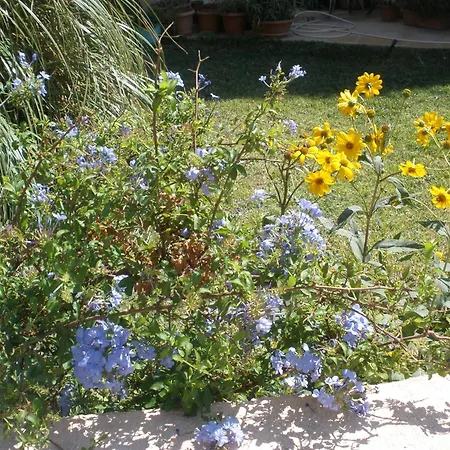 Livadi Plakias