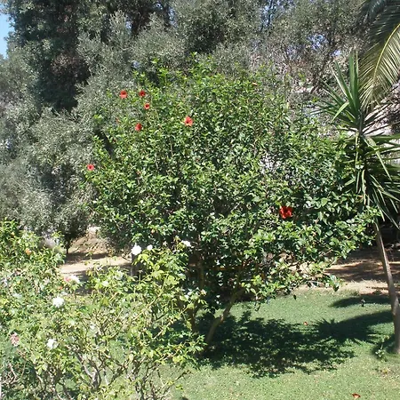 Livadi Plakias